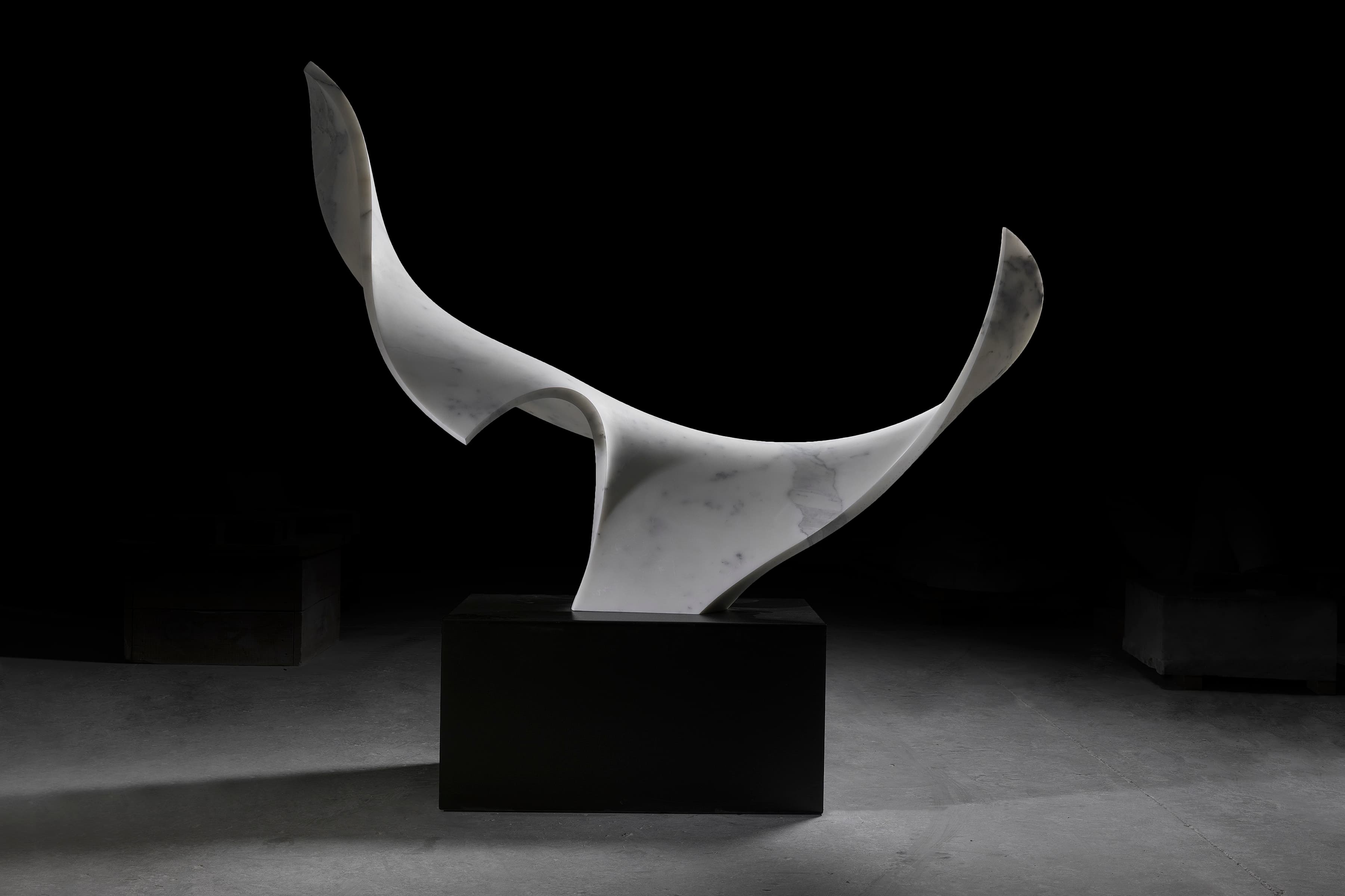 Sylvestre Gauvrit: Infinity 200b