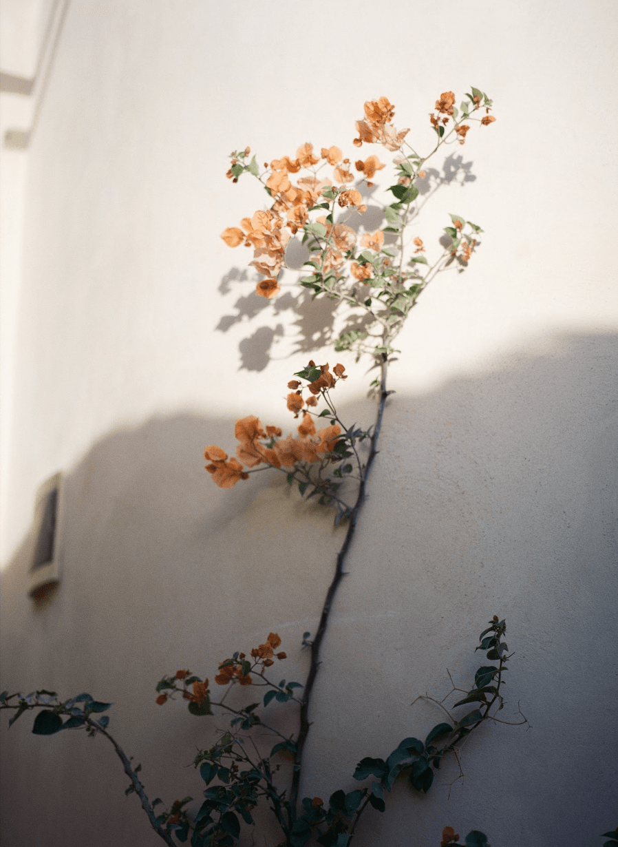 Maryam Khastoo: Untitled , from the series Qeshm