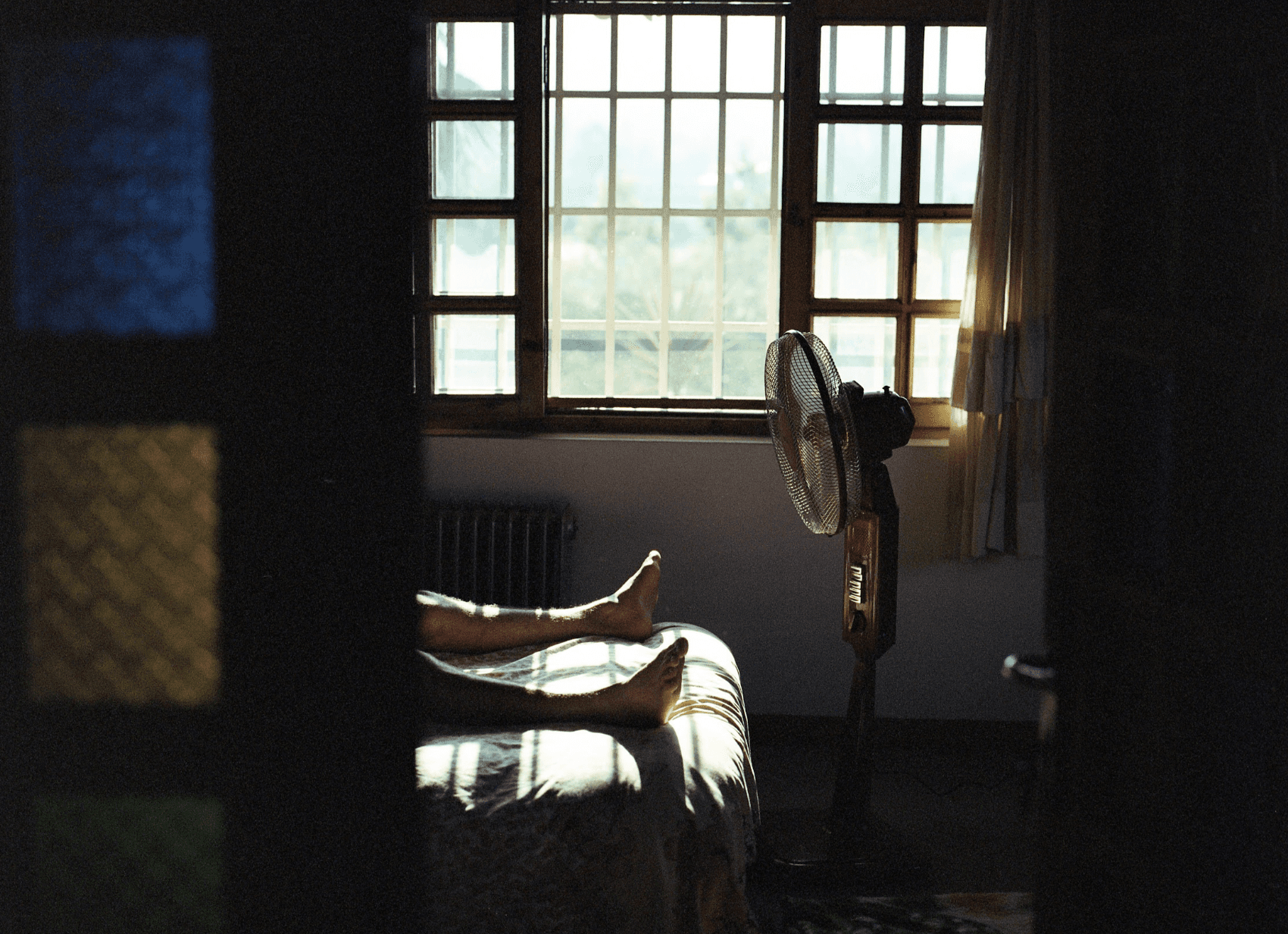 Maryam Khastoo: Untitled I, 2026 from the series Orange Blossom
